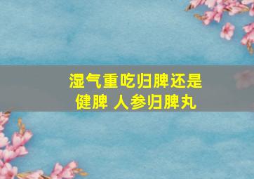 湿气重吃归脾还是健脾 人参归脾丸